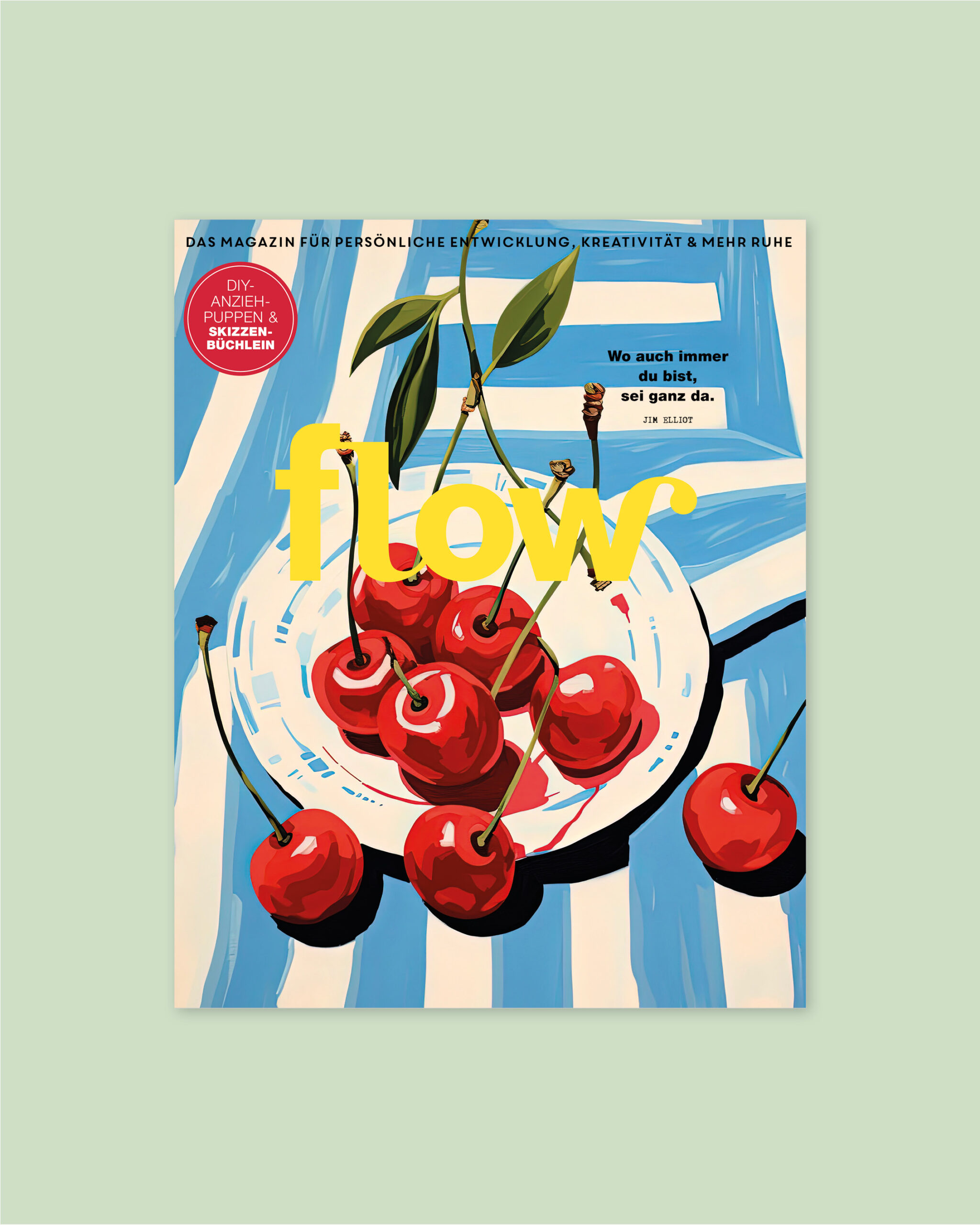 Flow Magazin Cover